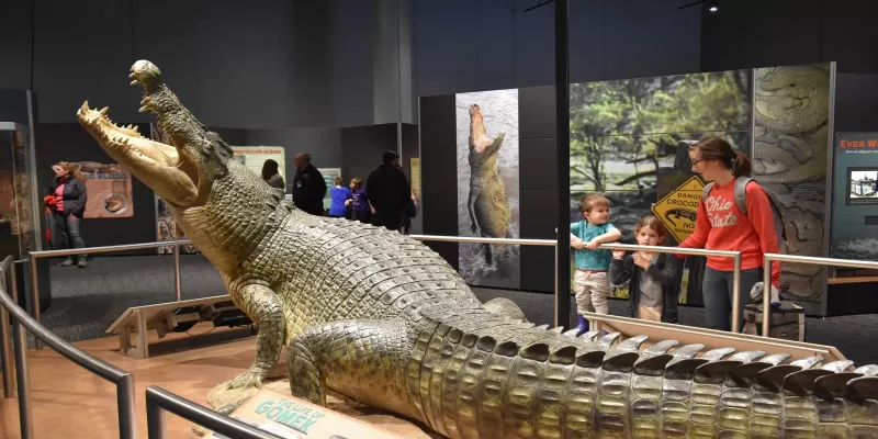 Luxury 10-Day Tour: Cairo and Nour el Nil Dahabiya Sailing Experience